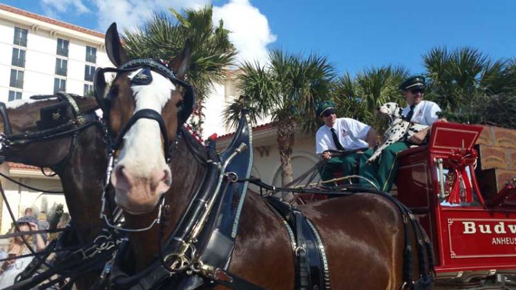 This year's Thanksgiving event will include eight Clydesdale horses, which will be available for photographs.