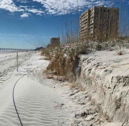 The dunes at 13th Avenue North held up against the effects of Hurricane Ian. (photo by David Bailey)