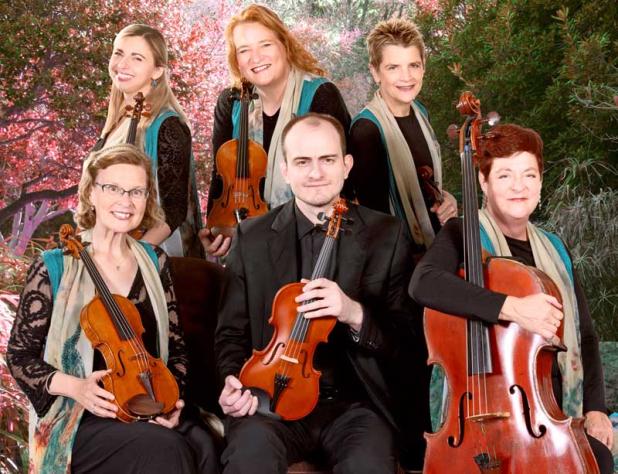 (Top row, from left) Victoria Stjerna, Patrice Evans, Susan Pardue, (bottom row, from left) Ann Hertler, Igor Khukhua and Laurie Casseday