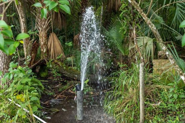Free-flowing abandoned artesian well that was recently plugged by district staff. (photo submitted)