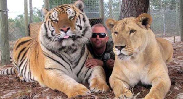 Pictured are animals at the Single Vision, Inc., facility in Melrose. (photo submitted)