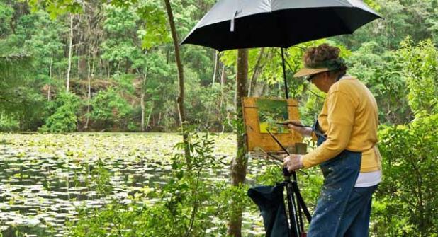 photo from www.jacksonvillearboretum.org