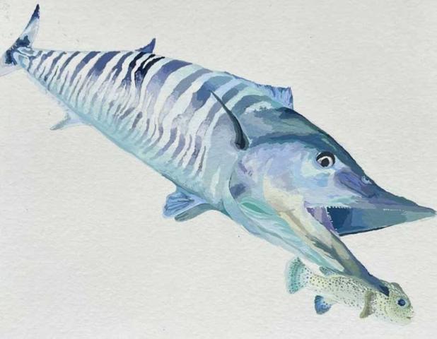 This year’s winning wahoo artwork by Juliana Sessum from the grades 10 to 12 category. (photo submitted)