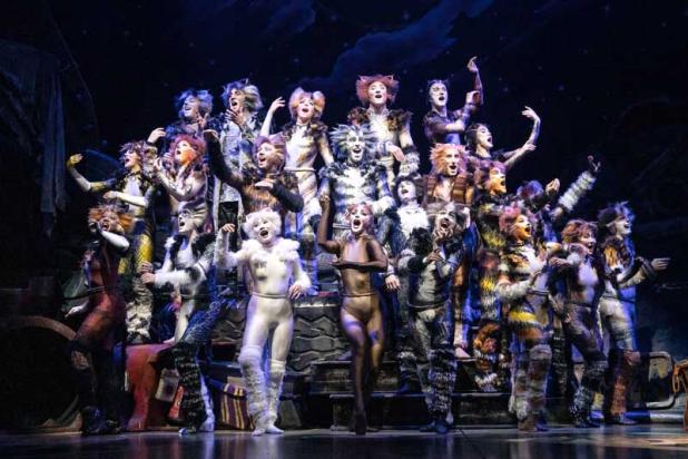 "Cats" is being performed through Sunday at the Times-Union Center for the Arts in Jacksonville. Tickets are available at www.artistseriesjax.org.
