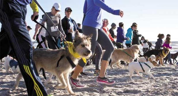 The Chariots of Fur Beach Run and Festival includes a 5k run/walk and one-mile fun run on the beach. (photo by Amy Olivieri)