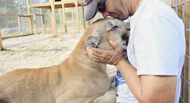 Single Vision Exotic Animal Rescue. (photo from www.singlevisioninc.org)