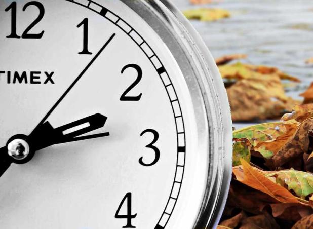 Be sure to "fall back" on Sunday.