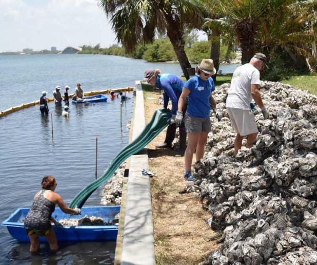 The district’s cost-share funding programs help communities complete water quality improvement projects, such as the oyster reef living shoreline cost-share project in Brevard County. (photo submitted)