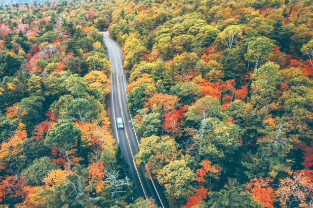  photo courtesy of Unsplash