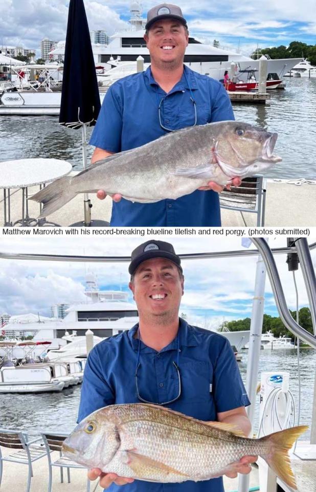 photos submitted by Florida Fish and Wildlife Conservation Commission