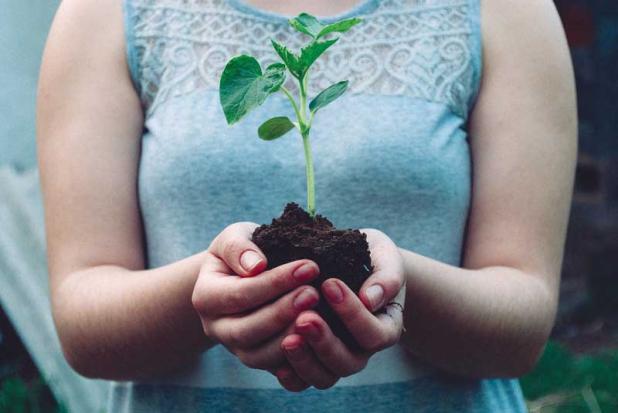 The soil you plant in will be the primary source of nutrients for your produce. Organic matter like compost can help improve soil quality.