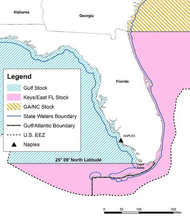 The closure includes state waters south of Cape Sable and up the Atlantic Coast.