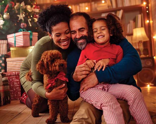 Protect pets  by keeping decorations like tinsel, ribbon, open-flame candles and fragile ornaments out of reach.
