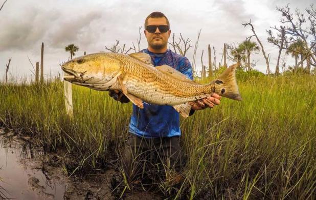 Beaches local Will Vogt with a healthy backwater Redfish he caught and released. (photo submitted)