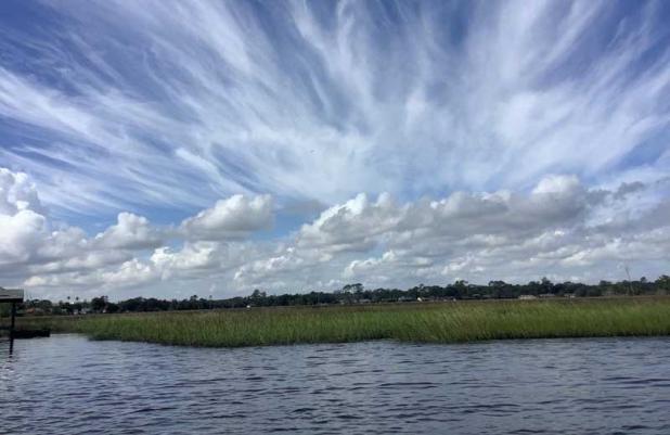 The North Florida Land Trust recently announced the purchase of the Small Islands in south Jacksonville Beach.