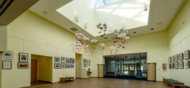  Work from Beaches Photography Club members on display at the Beaches Branch Library. (photo submitted)