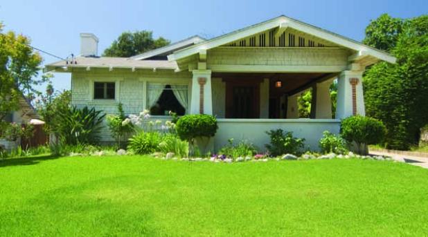 A lush green yard can be easy to maintain.