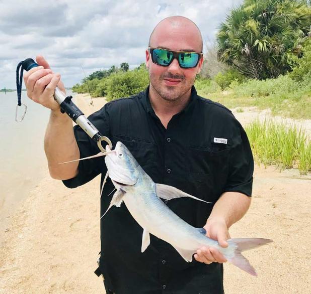 Gafftopsail catfish caught by Anthony Carta. (photo submitted)