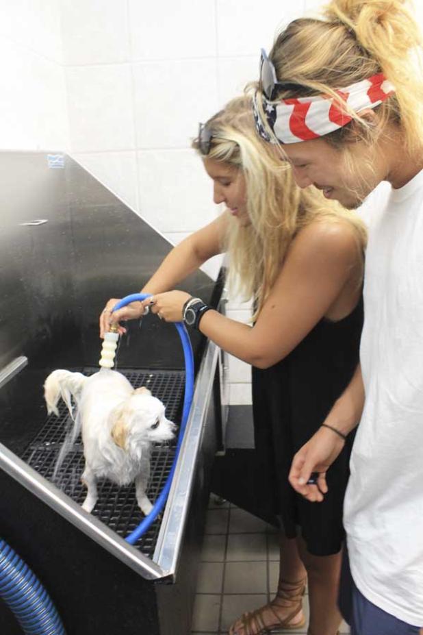 Alex Majauskas, Jake McGuire and Lucy try out a self-serve dog wash station during the grand opening of Pet Supplies Plus in Atlantic Beach. (photo by Chelsea Wiggs)