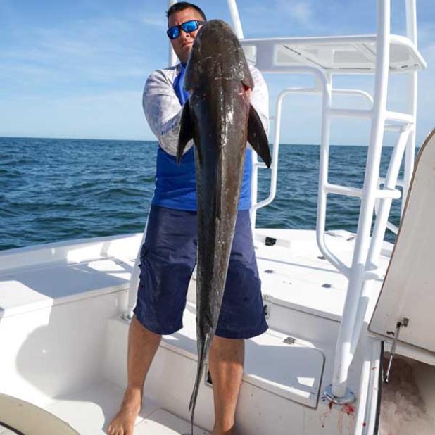 Josh Doerr with a stud cobia he sight-fished off a manta ray out of Vilano this week. (photo submitted)