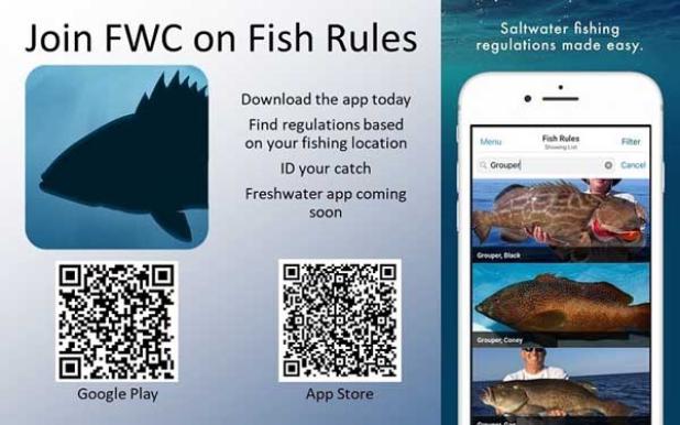 spfishrules.jpg