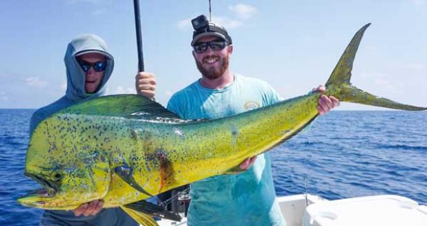 Geoff Heekin and Dale Feldman hold a Mahi they caught fishing with Austin Bayoumi out of Mayport this week. (photo submitted)