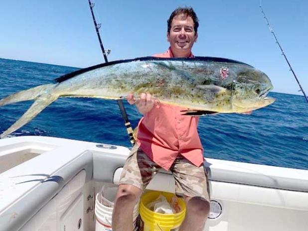 Angler Chris Howard with a nice gaffer cow caught off the “Deadicated” out of Mayport. (photo submitted)
