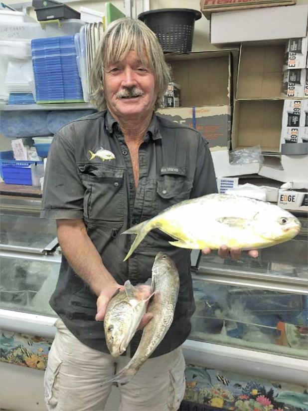 Surf fishing guide Larry Finch showing a couple of nice whiting and pompano caught while surf fishing last Monday. (photo submitted)