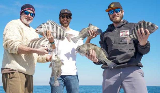 Rick Mailloux, Phil Jabornik and Seth Denison with handfuls of sheepshead and black drum. (photo submitted)