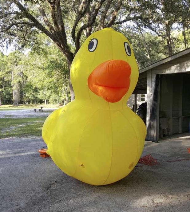Rubber Ducks and Food Trucks will raise funds for the development of an autism campus. (photo submitted)