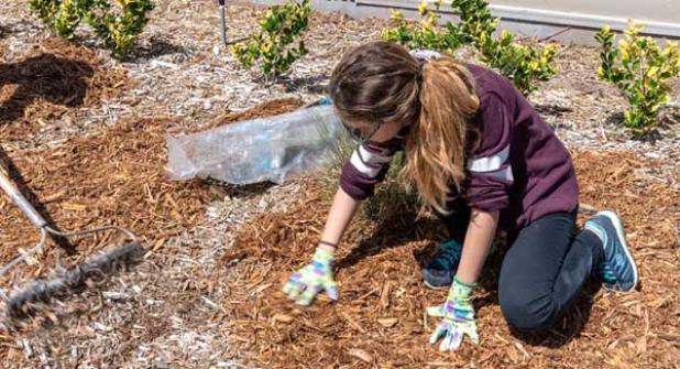 The district partnered with Wilkinson Junior High School on a Blue School Grant to develop a landscaping project to increase water efficiency.