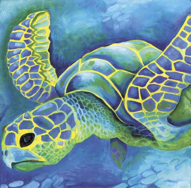 The Sea Turtle Show opens May 26. (photo submitted)