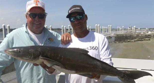 Capt. Steve Crowder alongside popular television personality Bill Dance, holding a nice cobia caught while on the search for bull reds at the little jetties. (photo submitted)