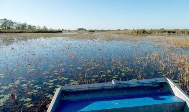 Blue Cypress Conservation Area is in the headwaters of the 310-mile-long St. Johns River. Part one of the District’s river series explores the decline and rebirth of this region. (photo submitted)